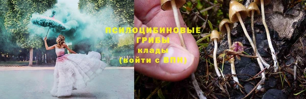 трава Абаза